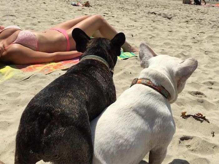 Daily Pictures. Part 1 (64 pics)