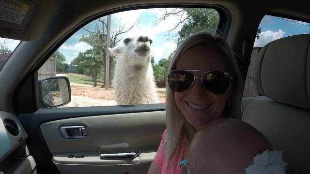 Daily Pictures. Part 1 (64 pics)