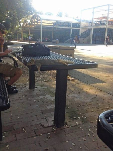 Daily Pictures. Part 1 (64 pics)