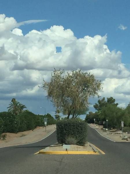 Daily Pictures. Part 1 (64 pics)