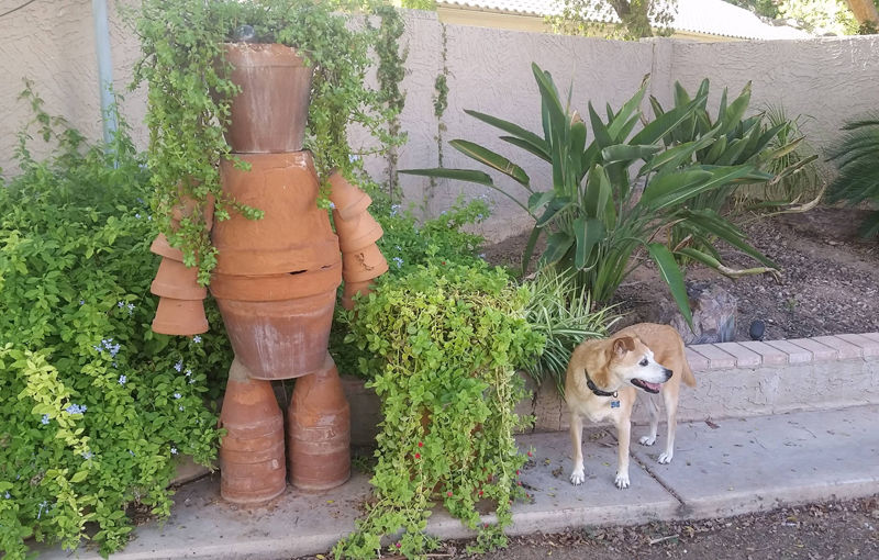 Daily Pictures. Part 1 (64 pics)