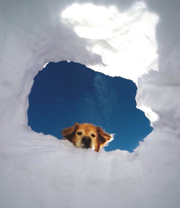 Daily Pictures. Part 1 (64 pics)