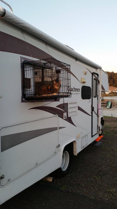 Daily Pictures. Part 1 (64 pics)