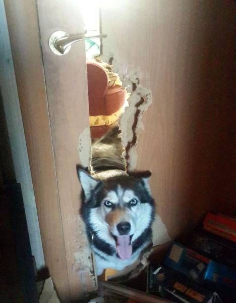 Daily Pictures. Part 1 (64 pics)