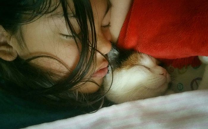 Daily Pictures. Part 1 (64 pics)