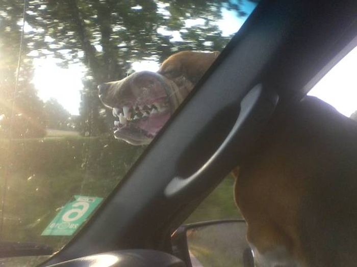 Daily Pictures. Part 2 (63 pics)