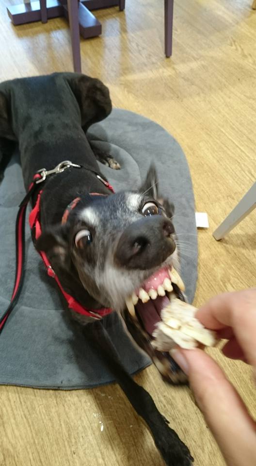 Daily Pictures. Part 2 (63 pics)