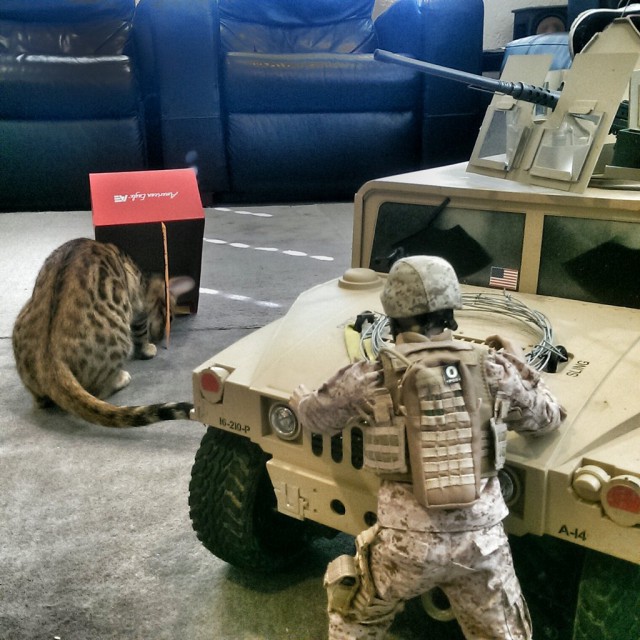 Daily Pictures. Part 2 (63 pics)