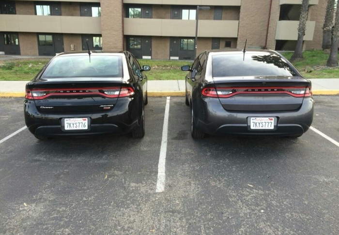 Daily Pictures. Part 1 (64 pics)