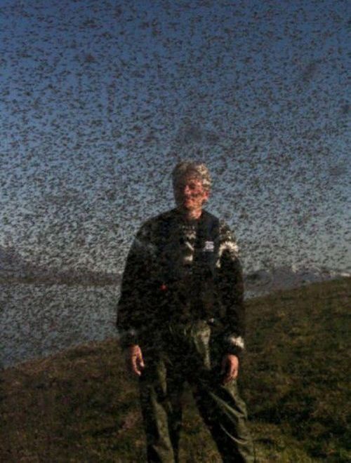 Daily Pictures. Part 1 (64 pics)