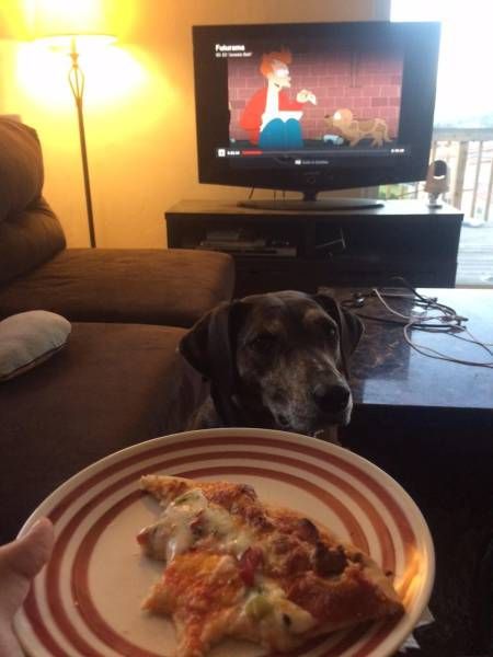 Daily Pictures. Part 2 (63 pics)