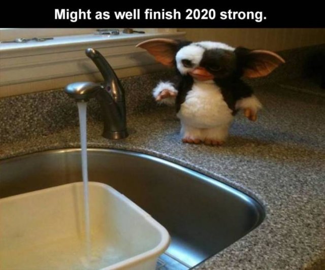 Daily Pictures. Part 2 (63 pics)