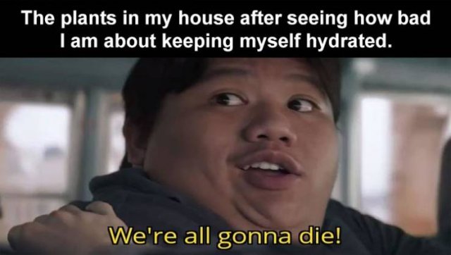 Daily Pictures. Part 2 (63 pics)