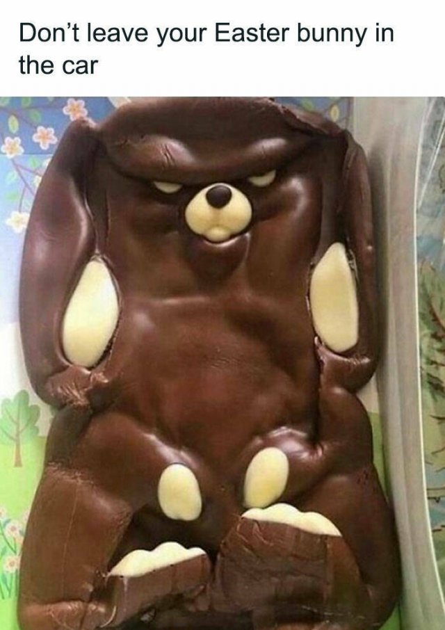 Daily Pictures. Part 2 (63 pics)