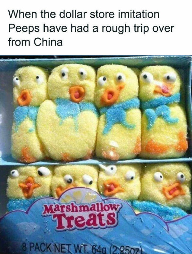 Daily Pictures. Part 2 (63 pics)