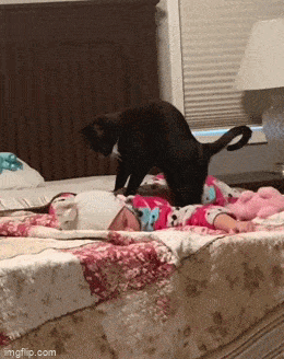 Acid GIFs, December 31 (25 gifs)