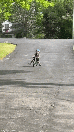 Acid GIFs, December 31 (25 gifs)