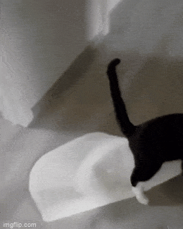 Acid GIFs, December 31 (25 gifs)