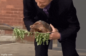 Acid GIFs, December 31 (25 gifs)