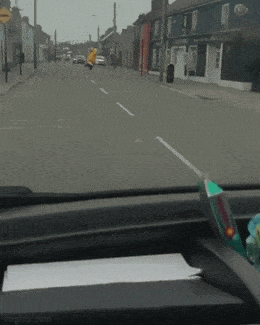 Acid GIFs, December 31 (25 gifs)