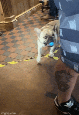 Acid GIFs, December 31 (25 gifs)