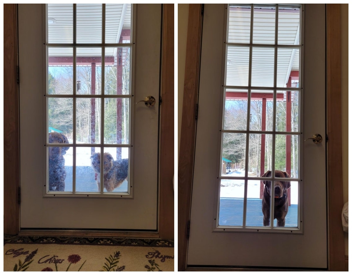 Before And After Cleaning (22 pics)