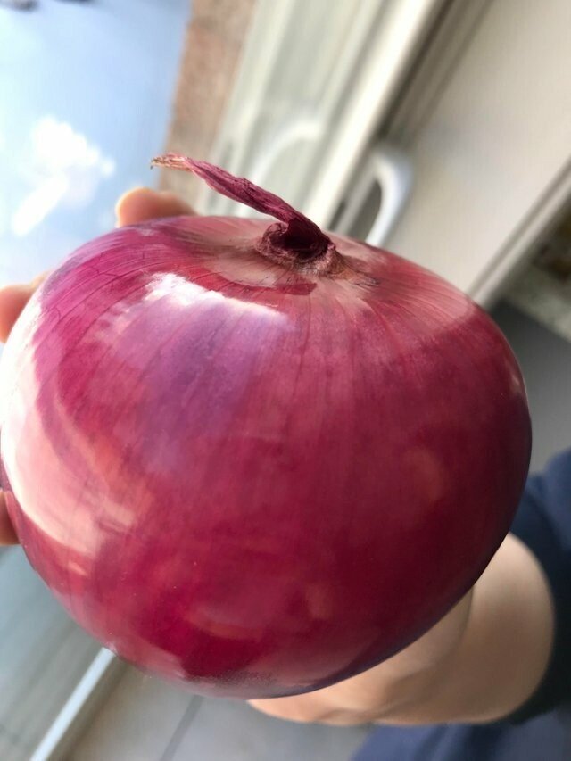 It's Perfect (21 pics) It's Perfect (21 pics)