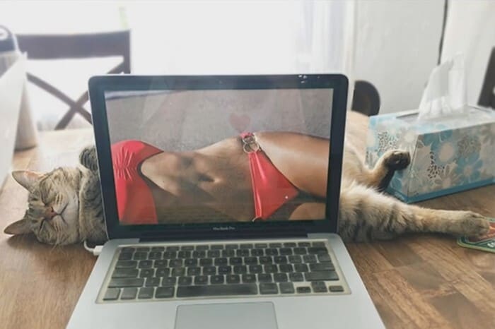 Right Moment (18 pics)