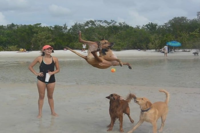 Right Moment (18 pics)