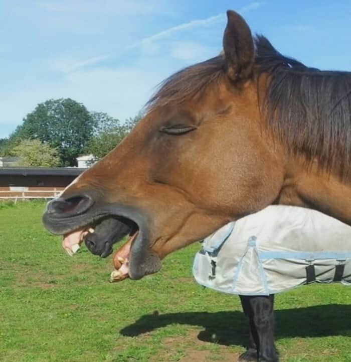 Right Moment (18 pics)