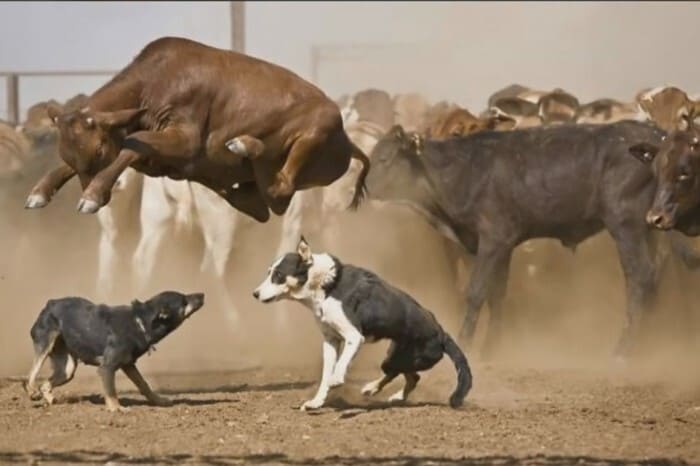 Right Moment (18 pics)