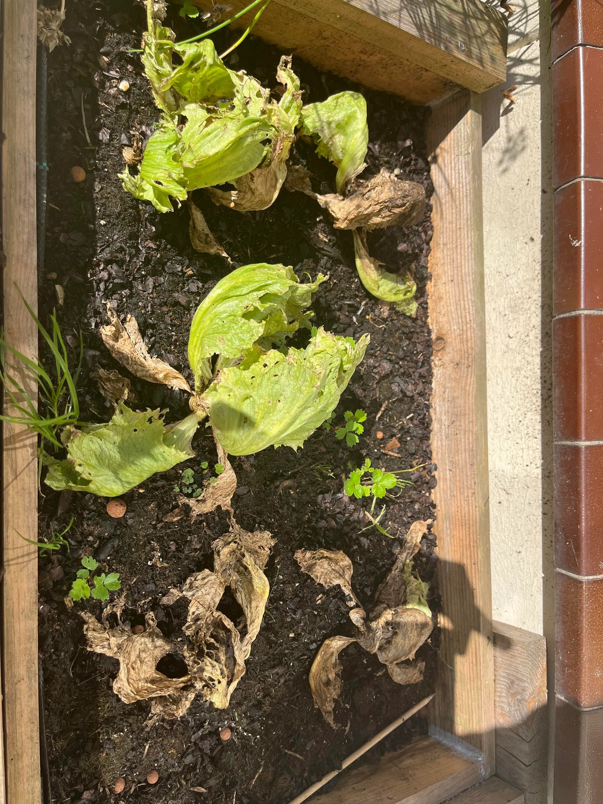 Bad Days Happen (29 pics) Bad Days Happen (29 pics)