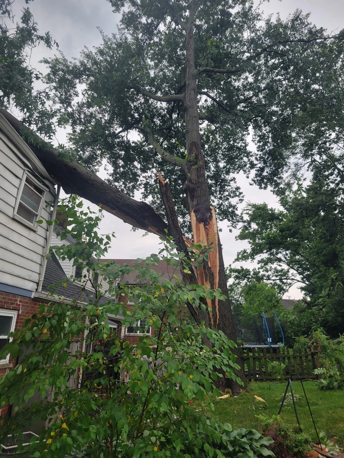 Bad Days Happen (29 pics) Bad Days Happen (29 pics)