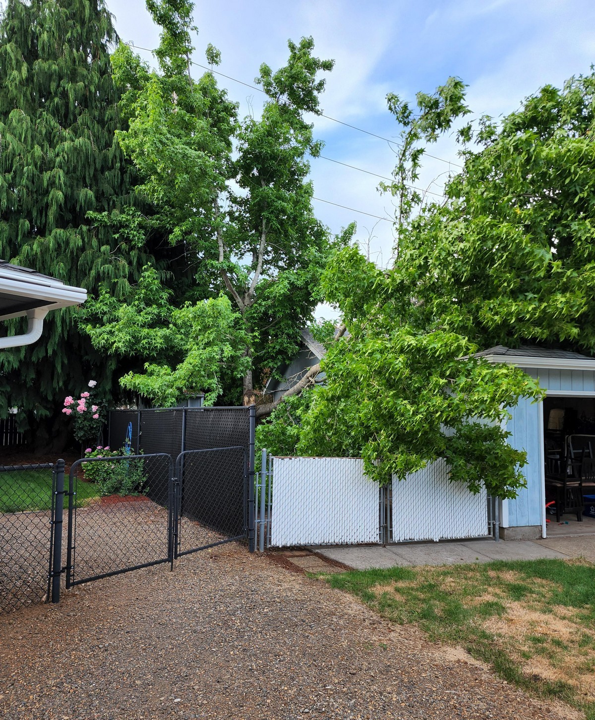 Bad Days Happen (29 pics) Bad Days Happen (29 pics)