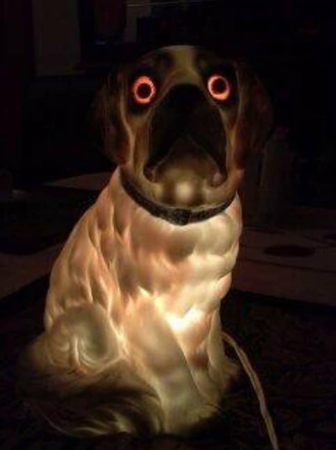 Odd Finds In Old Houses (20 pics)