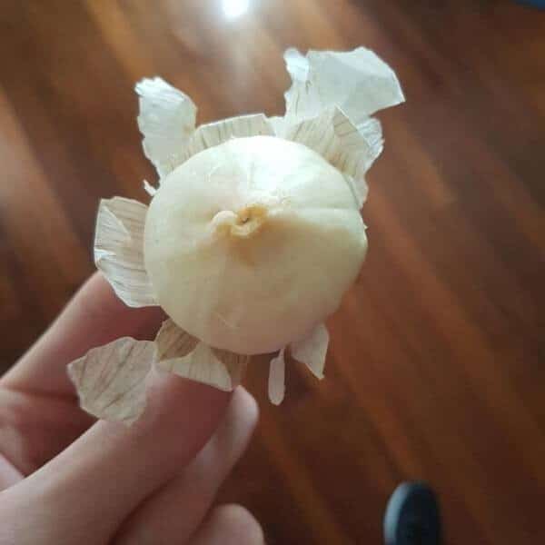 Photos For Perfectionists (24 pics)