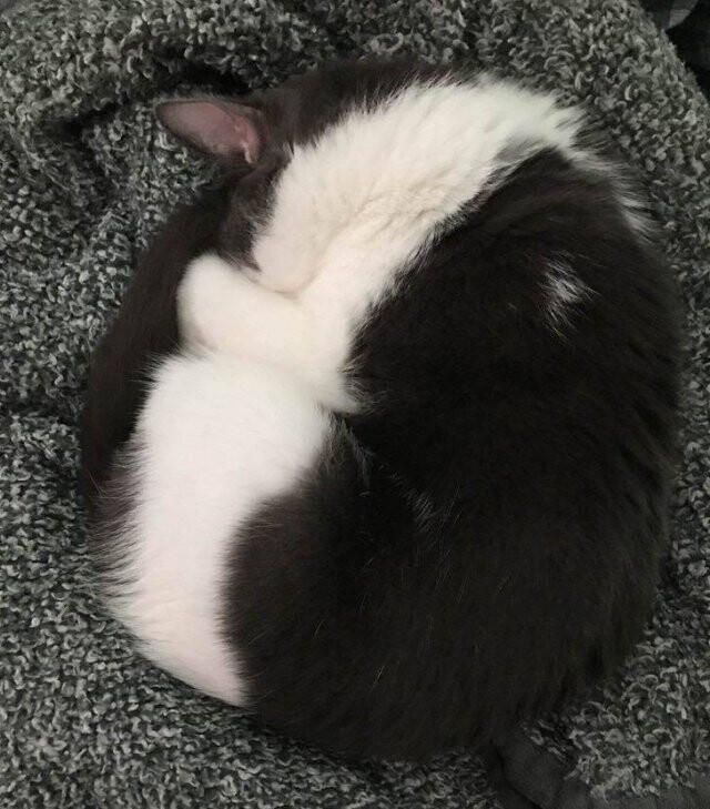 Photos For Perfectionists (24 pics)