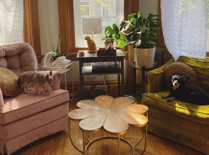 Interesting Finds In Thrift Shops (25 pics)