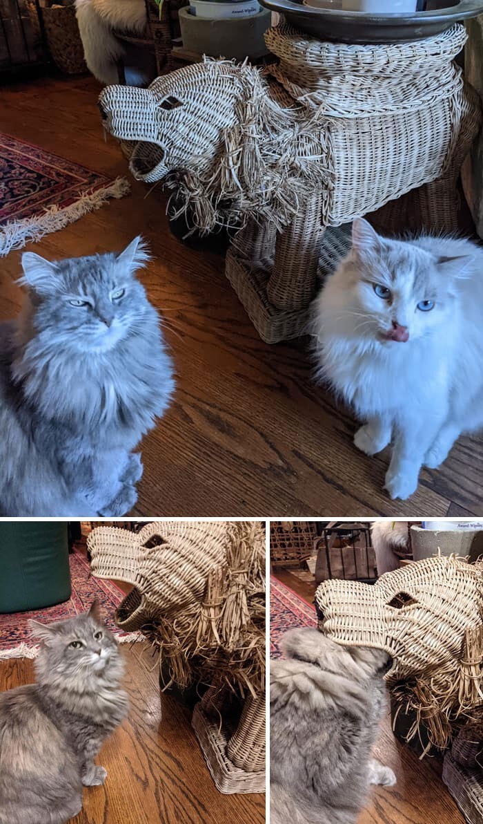 Interesting Finds In Thrift Shops (25 pics)