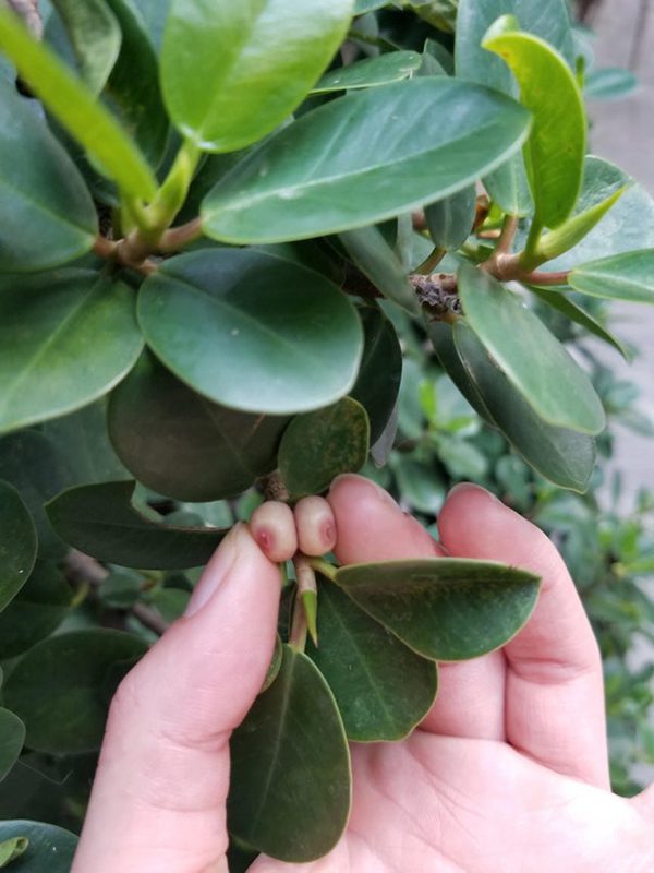 This Is Pareidolia (15 pics) This Is Pareidolia (15 pics)