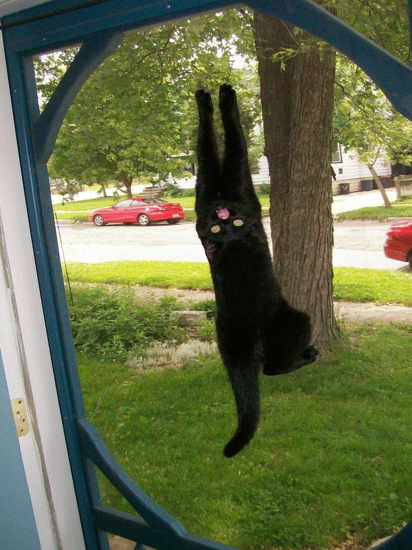 Daily Pictures. Part 1 (63 pics)