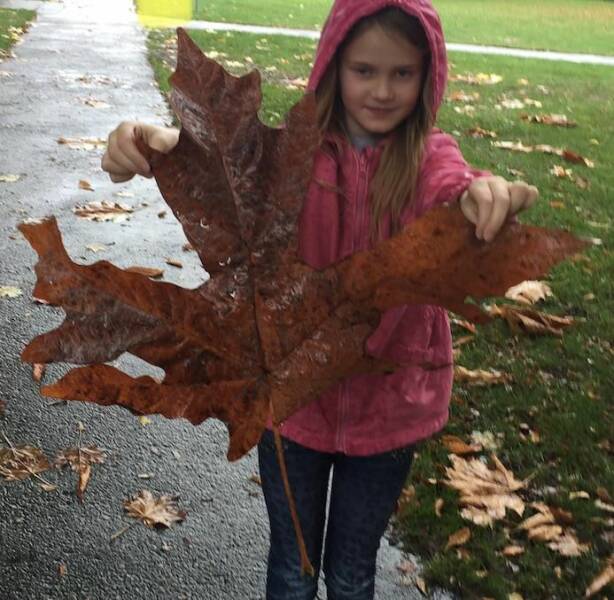 Daily Pictures. Part 1 (63 pics)