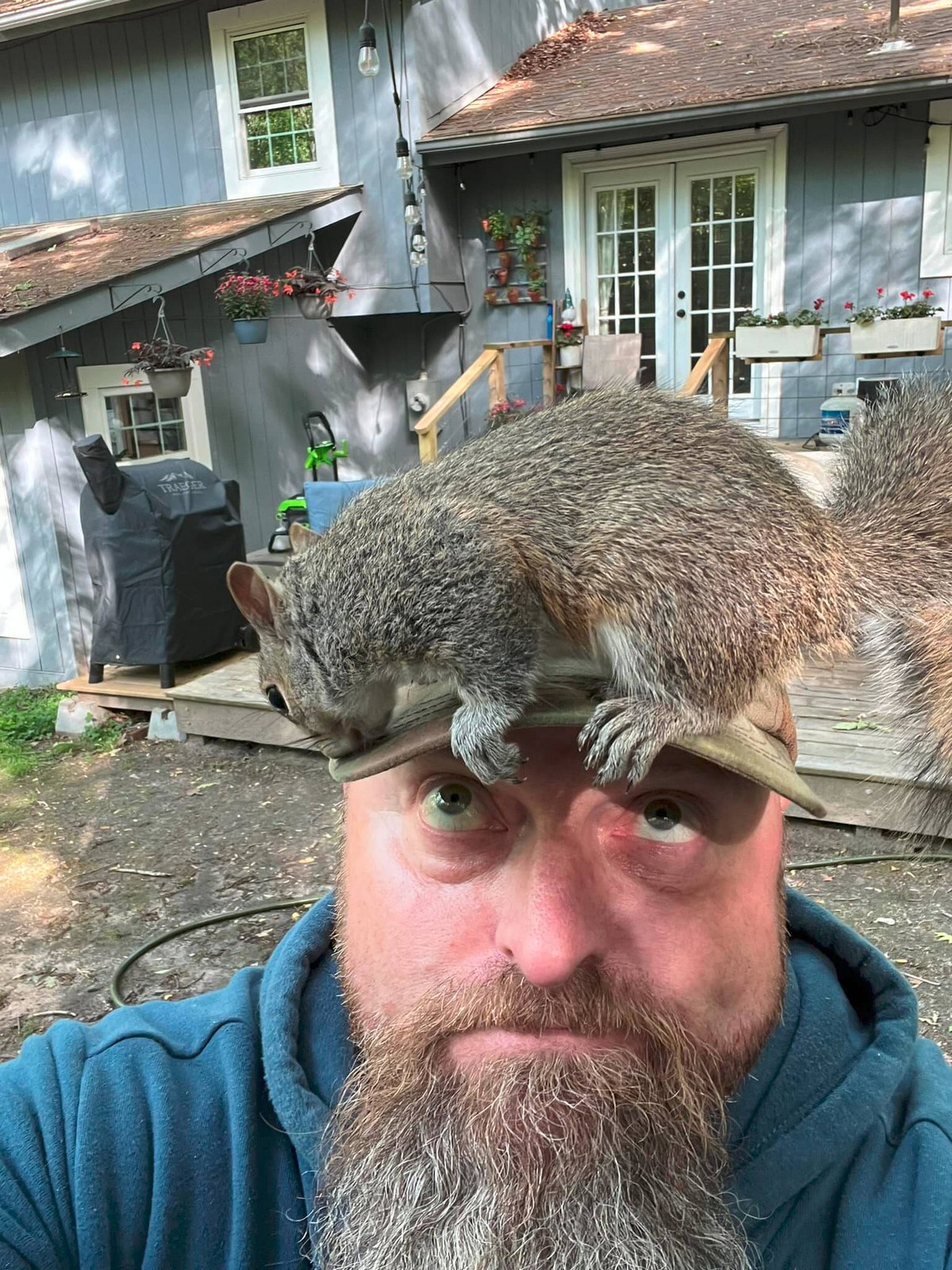 Daily Pictures. Part 1 (63 pics)