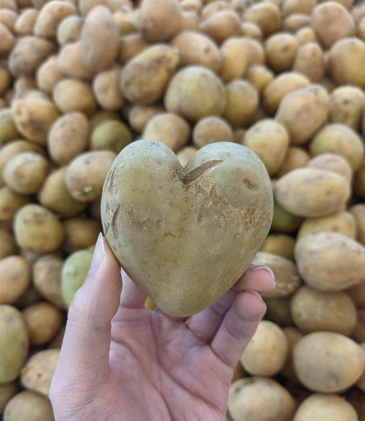 Daily Pictures. Part 1 (63 pics)