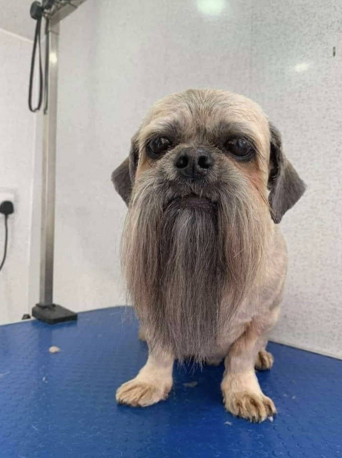 Daily Pictures. Part 1 (63 pics)