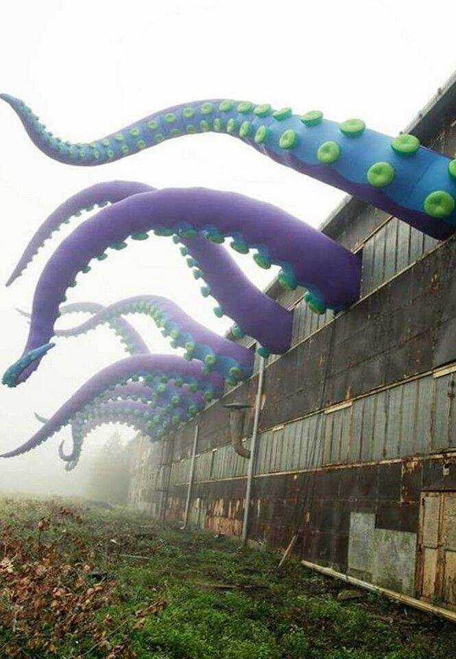 Daily Pictures. Part 1 (63 pics)