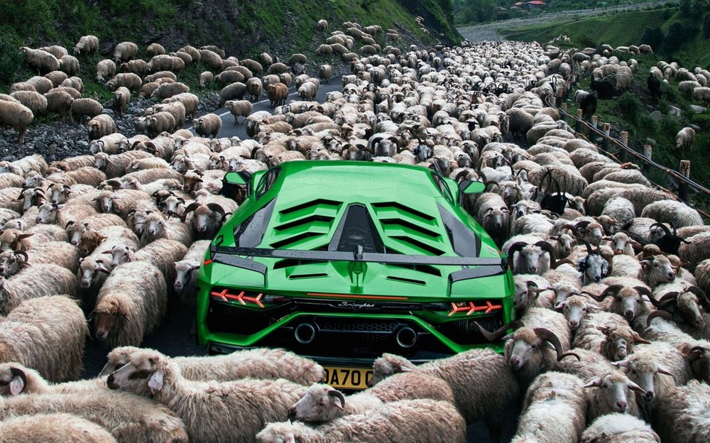 Daily Pictures. Part 1 (63 pics)