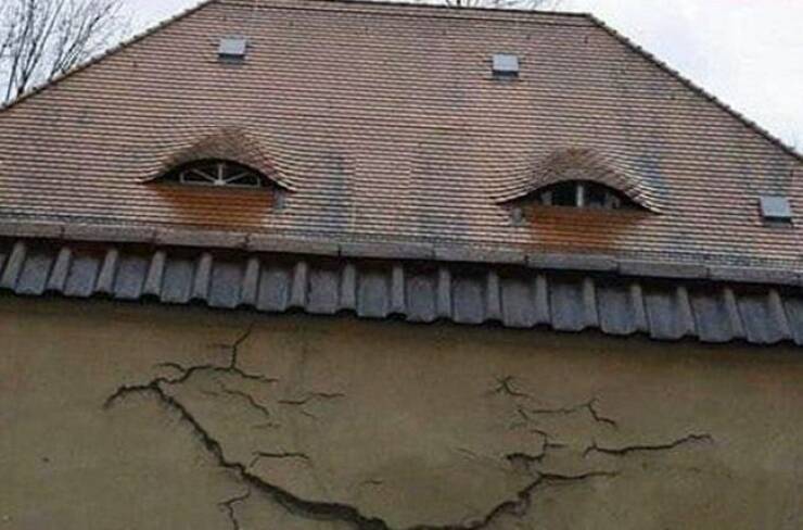 Daily Pictures. Part 1 (63 pics)