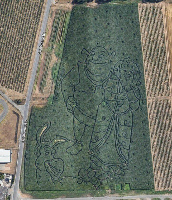 Daily Pictures. Part 1 (63 pics)