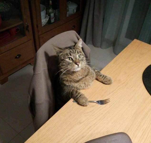 Daily Pictures. Part 1 (63 pics)